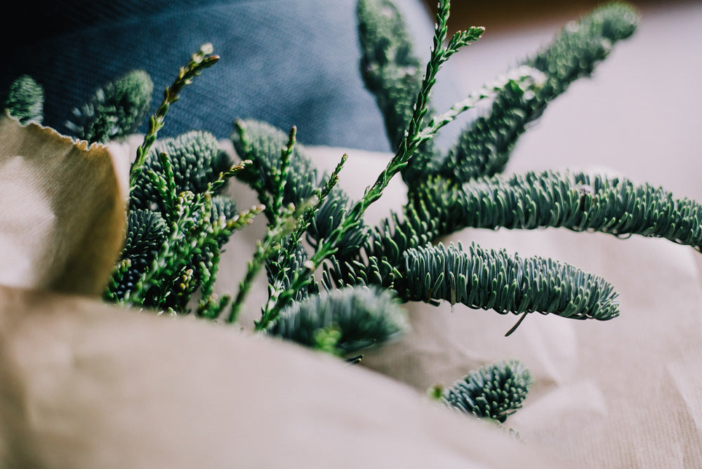 Sustainable Christmas Gift Guide 2020