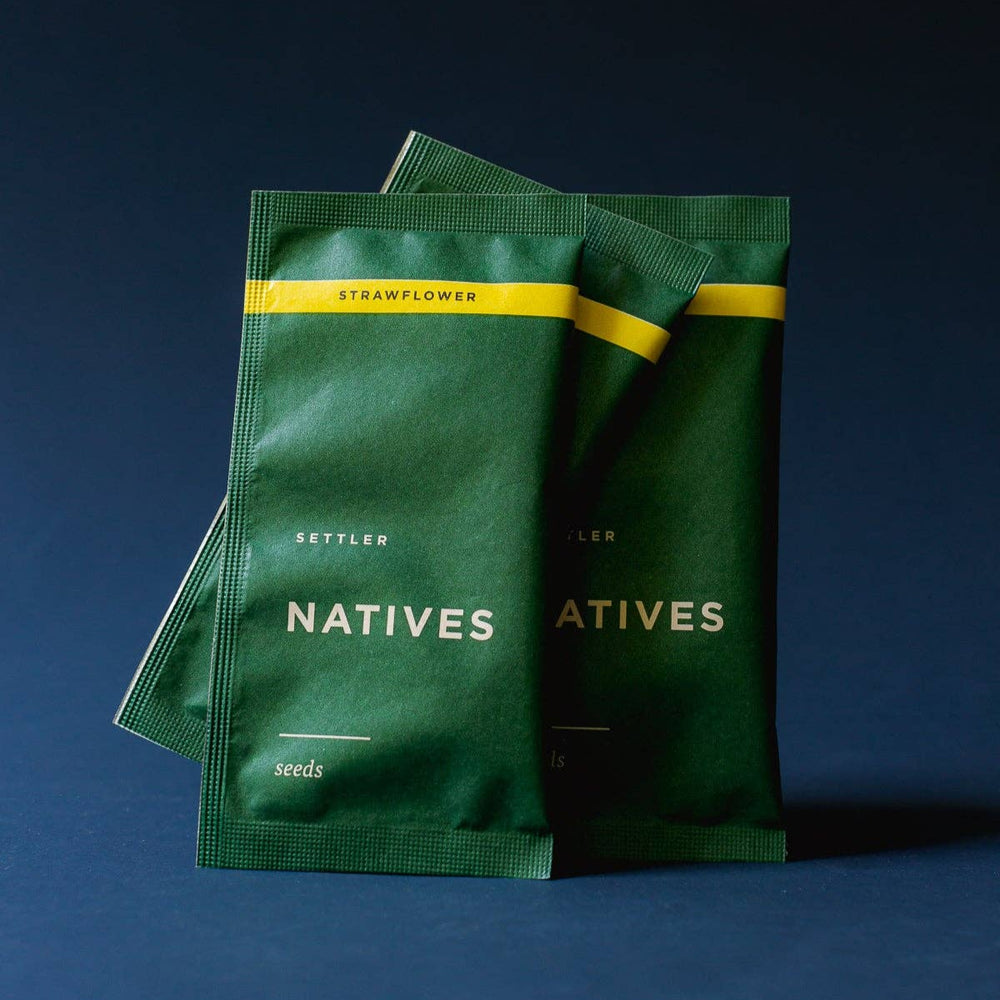 Settlers Hive - Native Strawflower Seeds