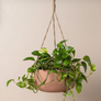 Saardé Yaamur Metal Hanging Planter