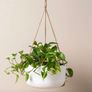 Saardé Yaamur Metal Hanging Planter