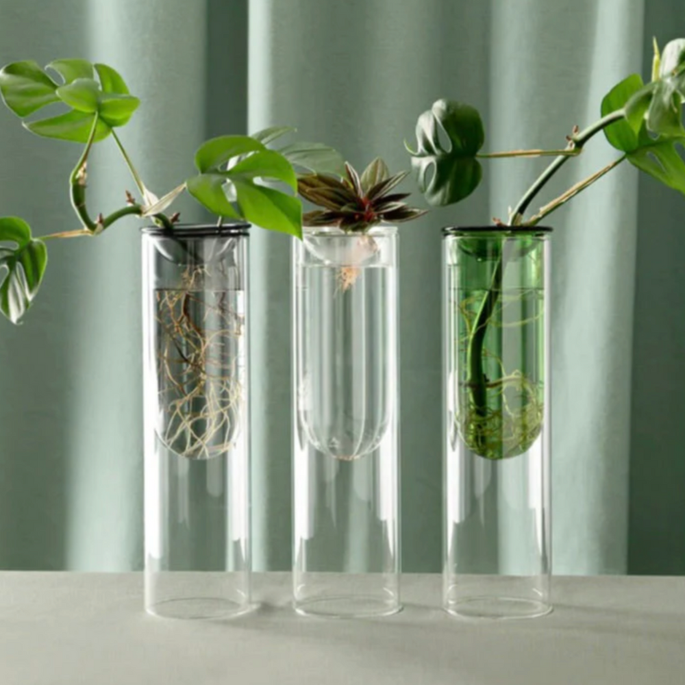 Studio Milligram Propagation Vases