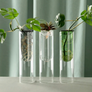 Studio Milligram - Propagation Vases
