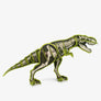 Build A Giant Dinosaur - T-Rex