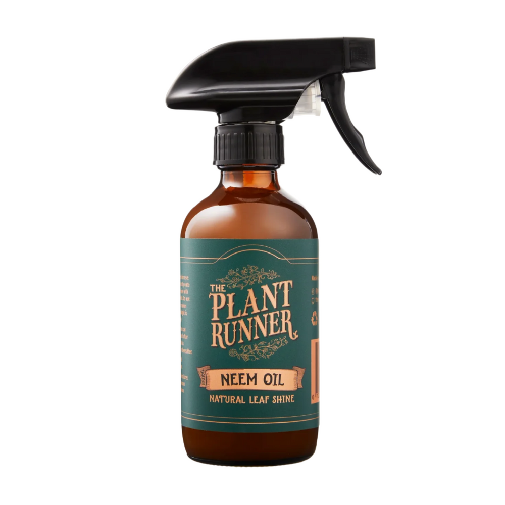 plant runner neem oil