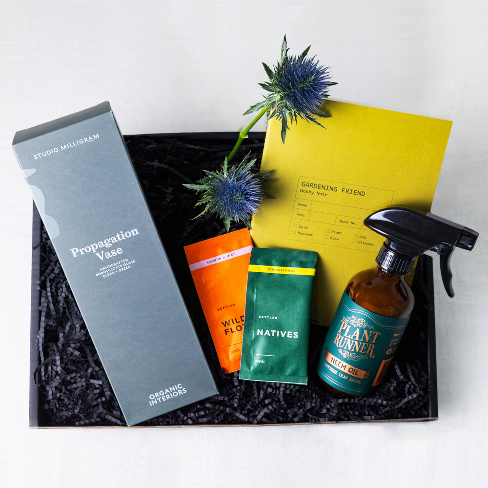 Nash + Banks - The Botanist | Gift Box for Plant Lovers