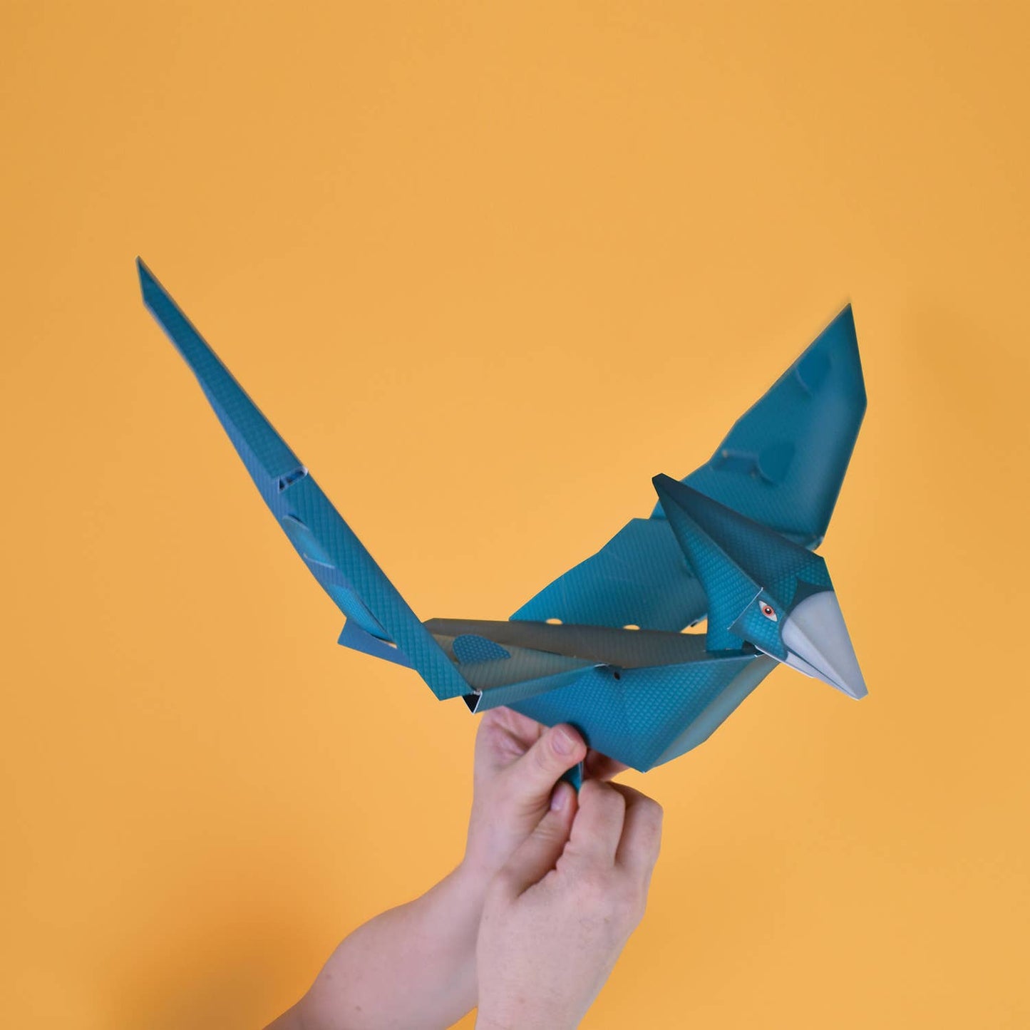 
                  
                    Build A Flying Dinosaur - Kids Paper Toy Kit
                  
                