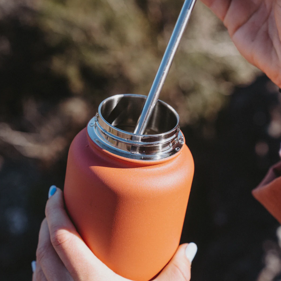 Project PARGO - 950ml Insulated Sports Bottle w/ Straw Lid