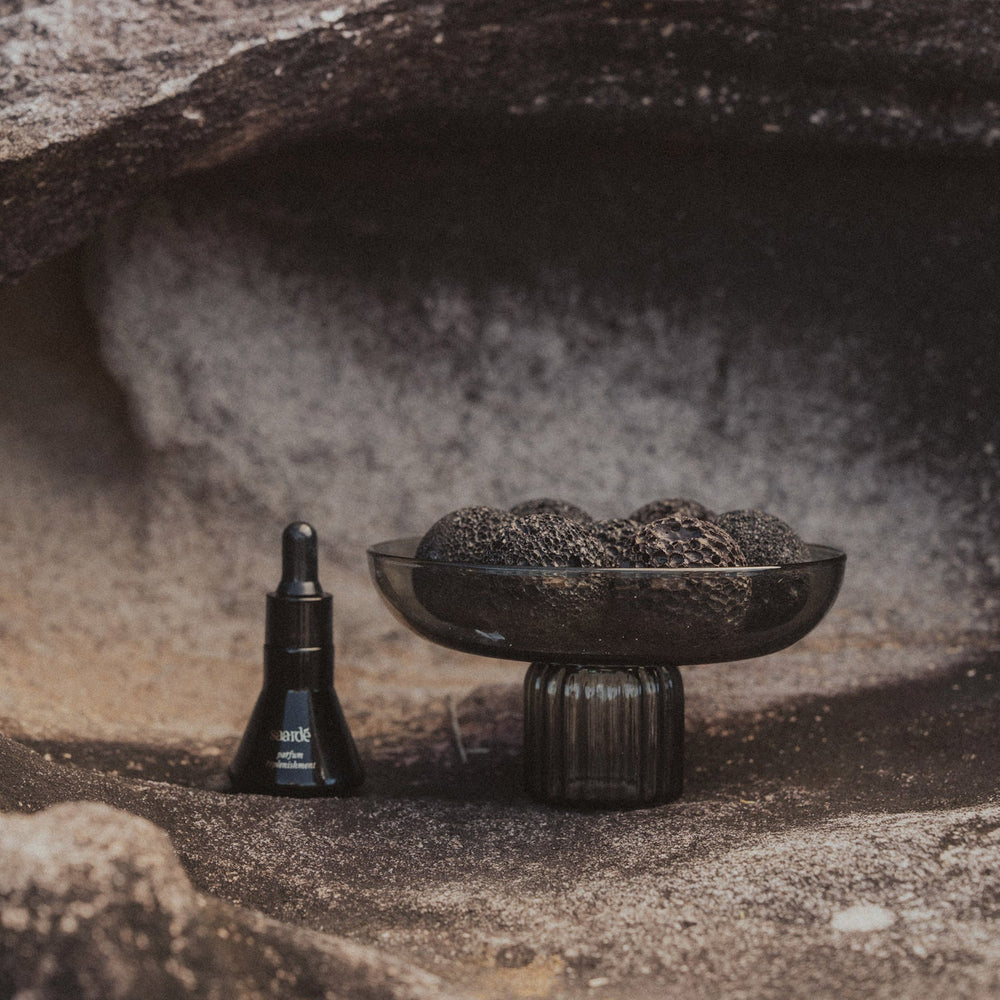 SAARDÉ | Volcanic Home Fragrance Set | Saint Raphael - NASH + BANKS