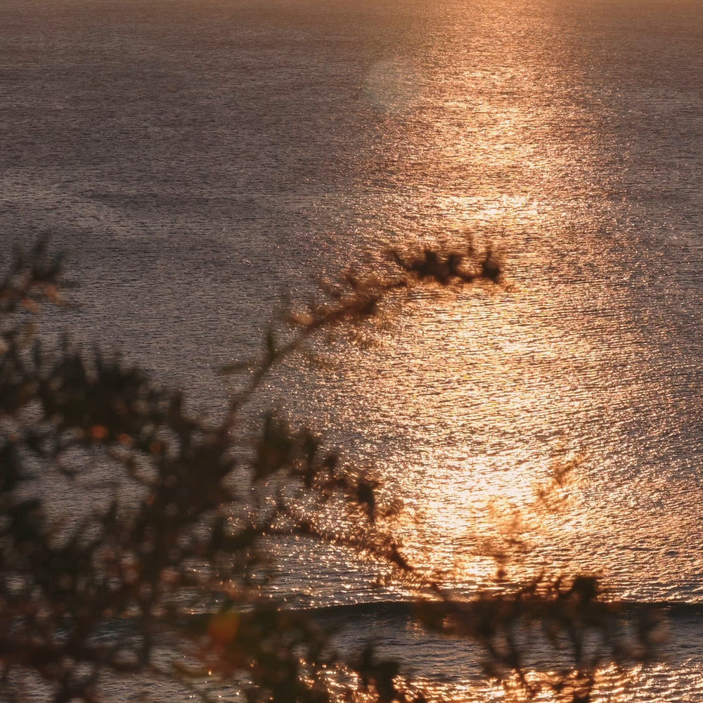 Etikette | Freycinet // Coastal Moss and Sea Salt | Room Mist - NASH + BANKS