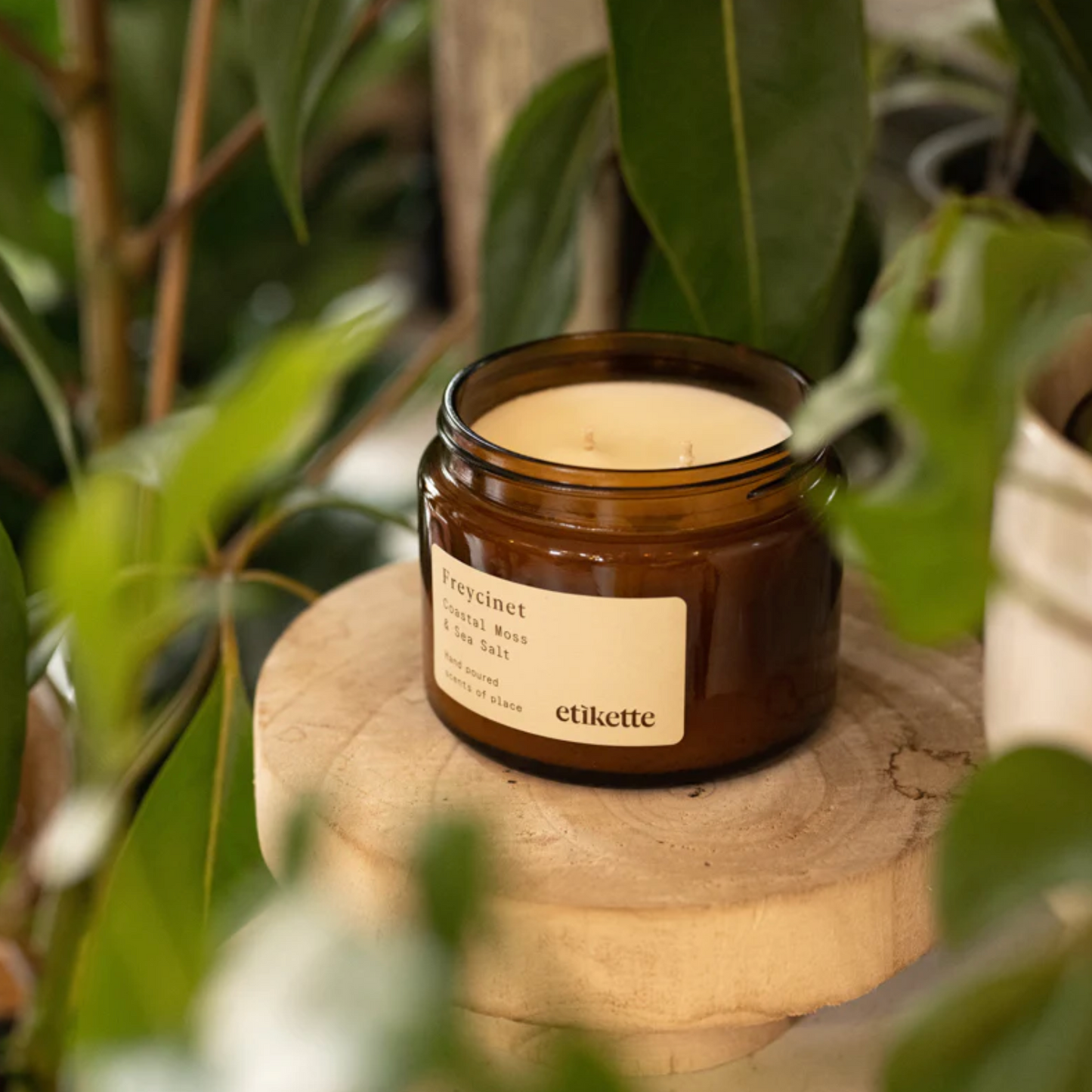 Etikette - Freycinet // Coastal Moss & Sea Salt | Soy Candle