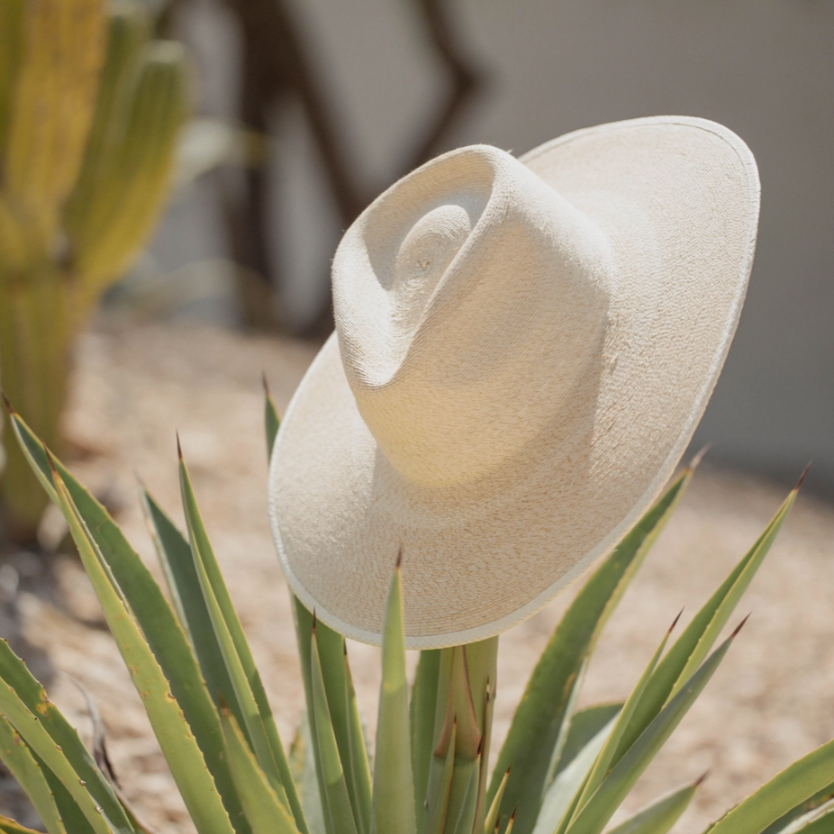 
                  
                    Fine Palm Rancher Hat - Sunbleached
                  
                