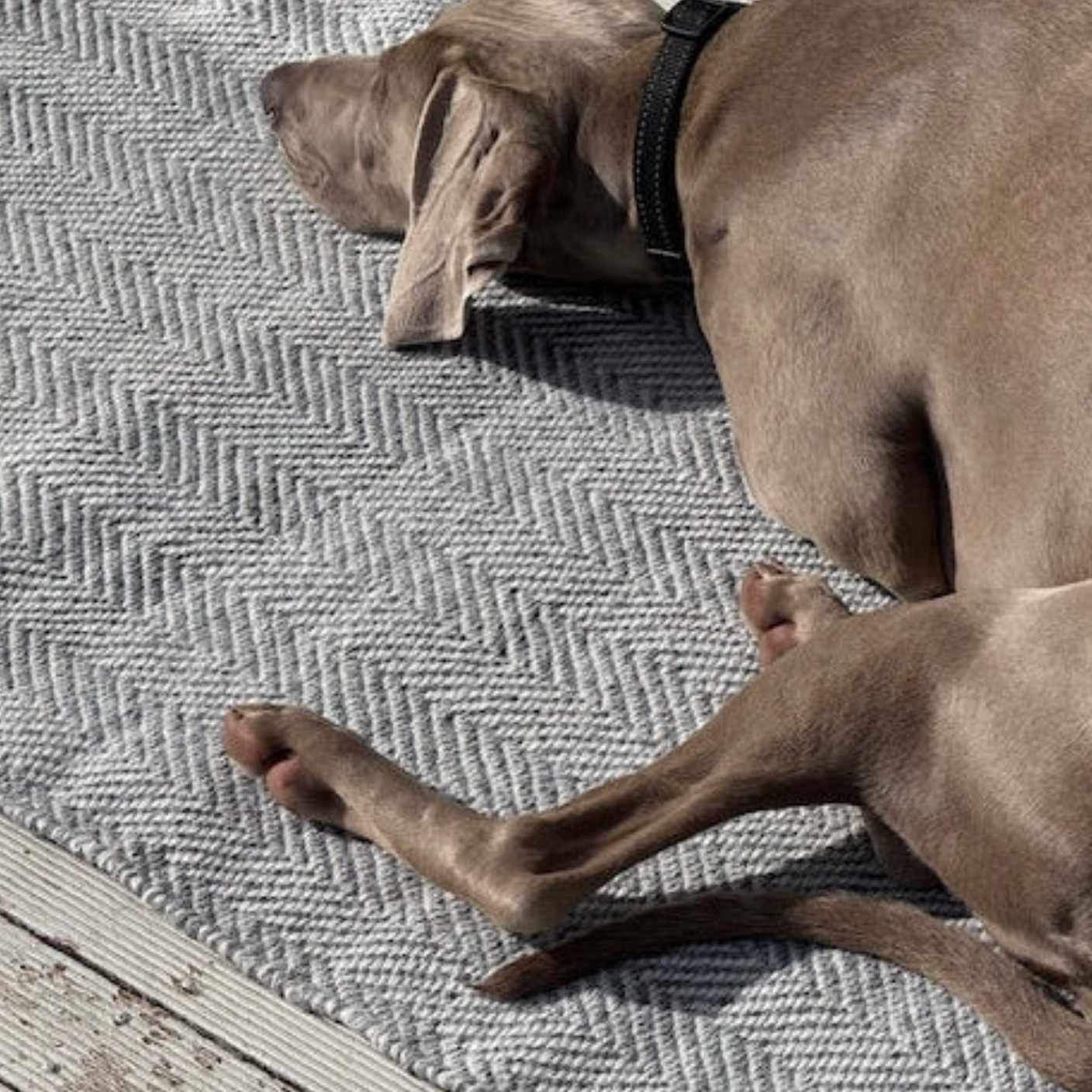 Zebra Home | Henshall Herringbone | Outdoor+ Indoor Doormat