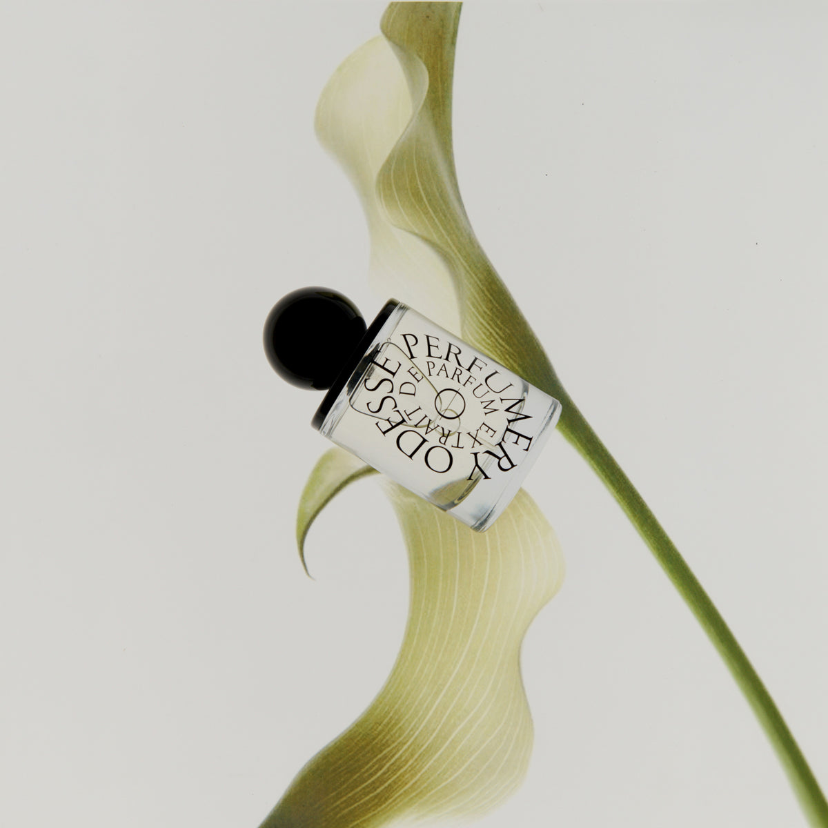 Odesse | Morning Skin | Extrait De Parfum | 50ml - NASH+BANKS