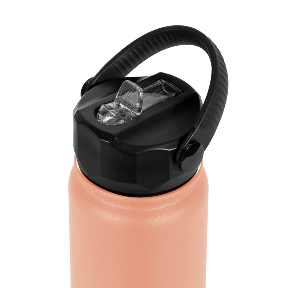 
                  
                    Project PARGO - 750ml Insulated Sports Bottle w/ Straw Lid
                  
                