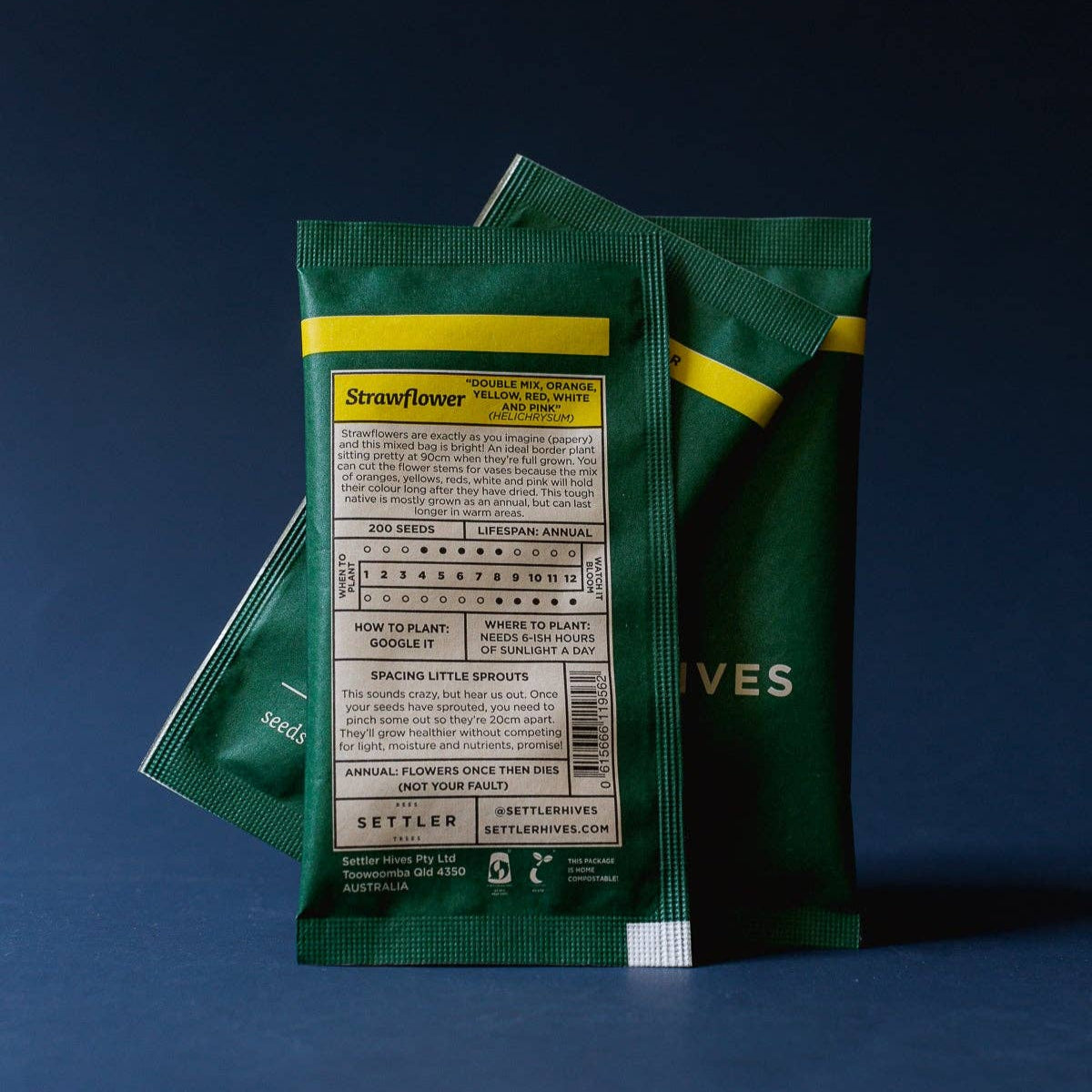 Settler Hives | Strawflower | Seeds - NASH + BANKS