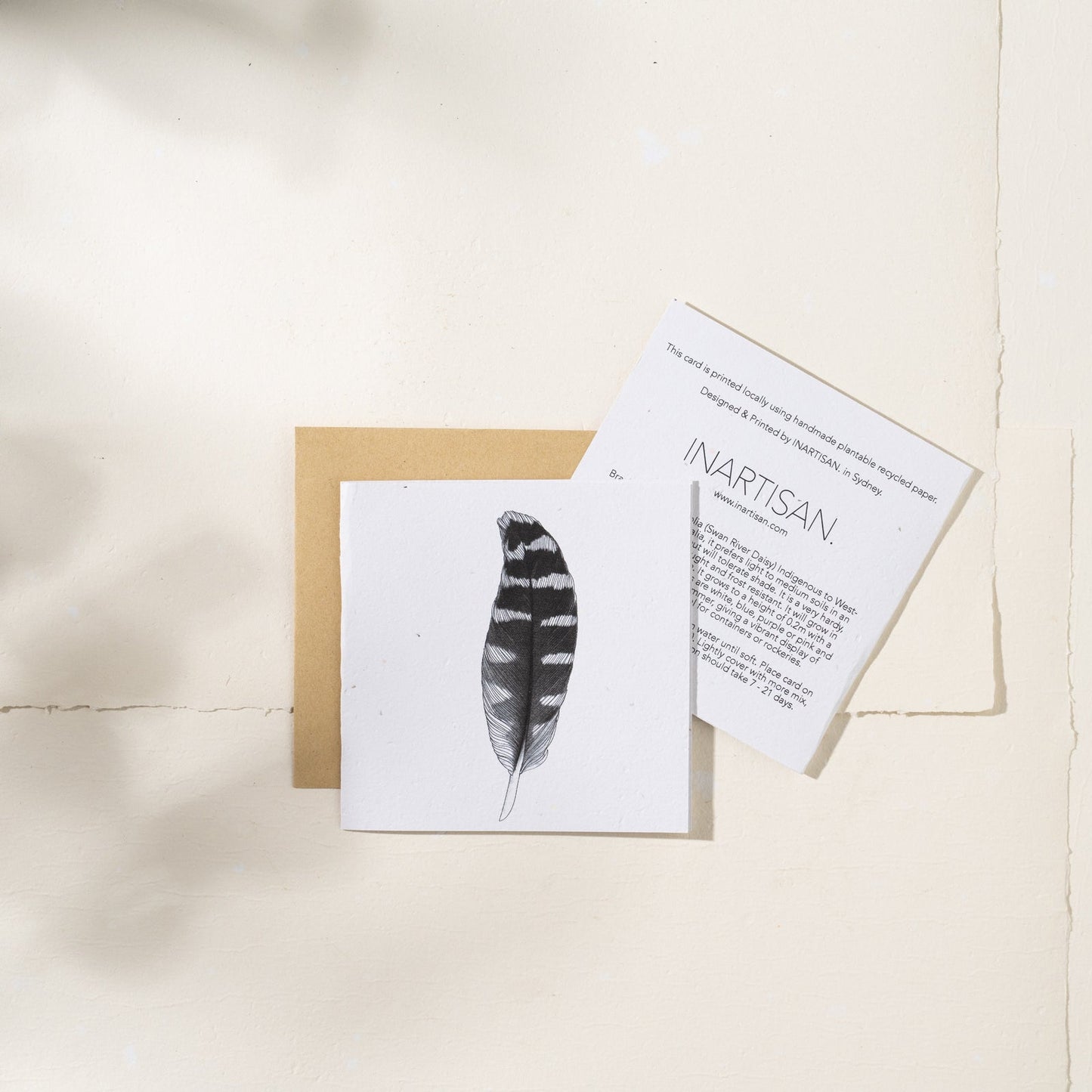 Feather | Plantable Greeting Card - NASH  BANKS
