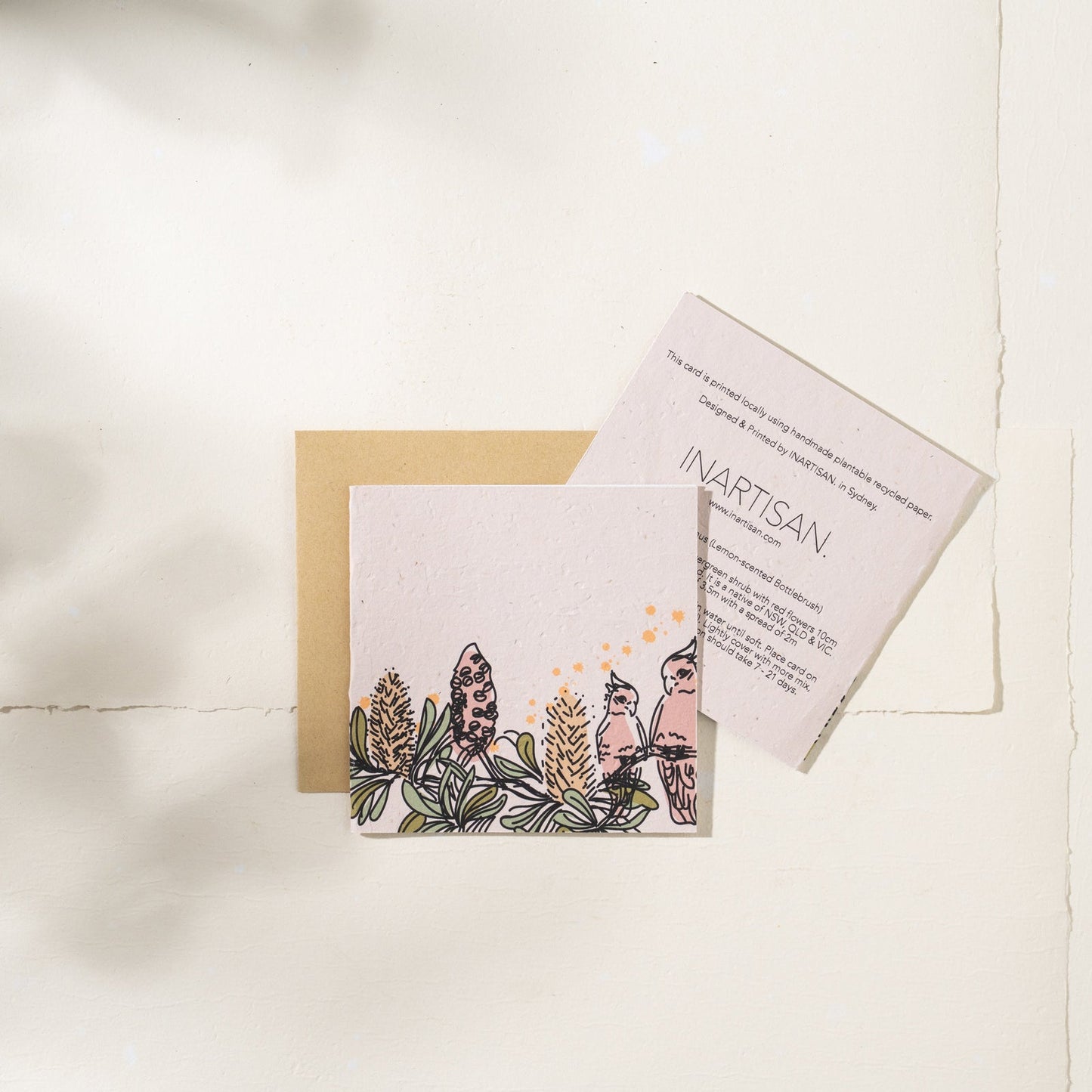 Galahs | Plantable Greeting Card - NASH + BANKS