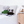 Cecil The Panda Soft Toy - Shop Eco-Friendly Toys Online at Nash + Banks